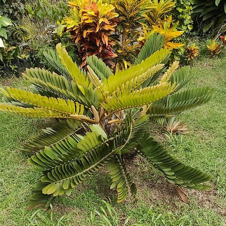 Bencastle Villa Gros Islet Kültér fotó