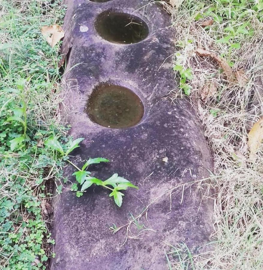 Bencastle Villa Gros Islet Kültér fotó