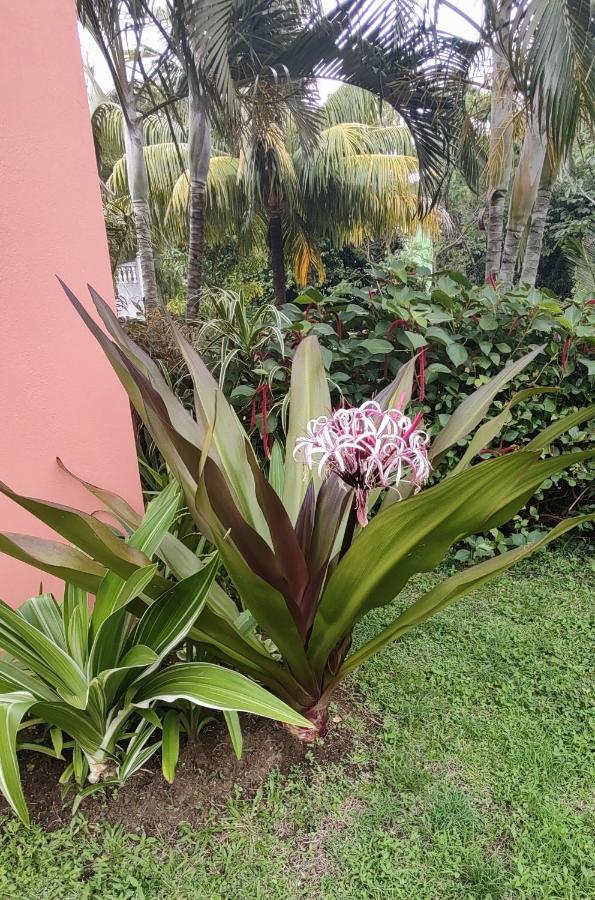 Bencastle Villa Gros Islet Kültér fotó