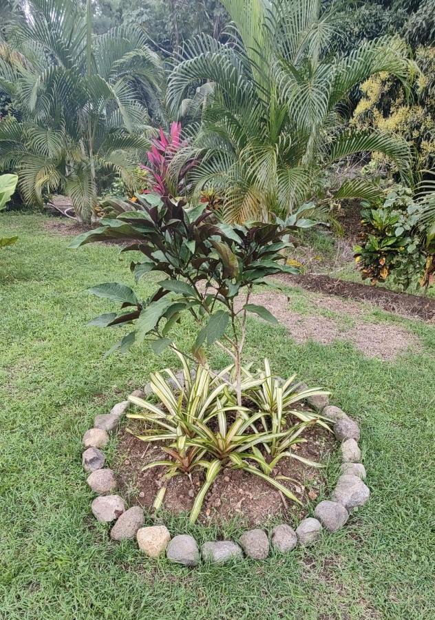 Bencastle Villa Gros Islet Kültér fotó